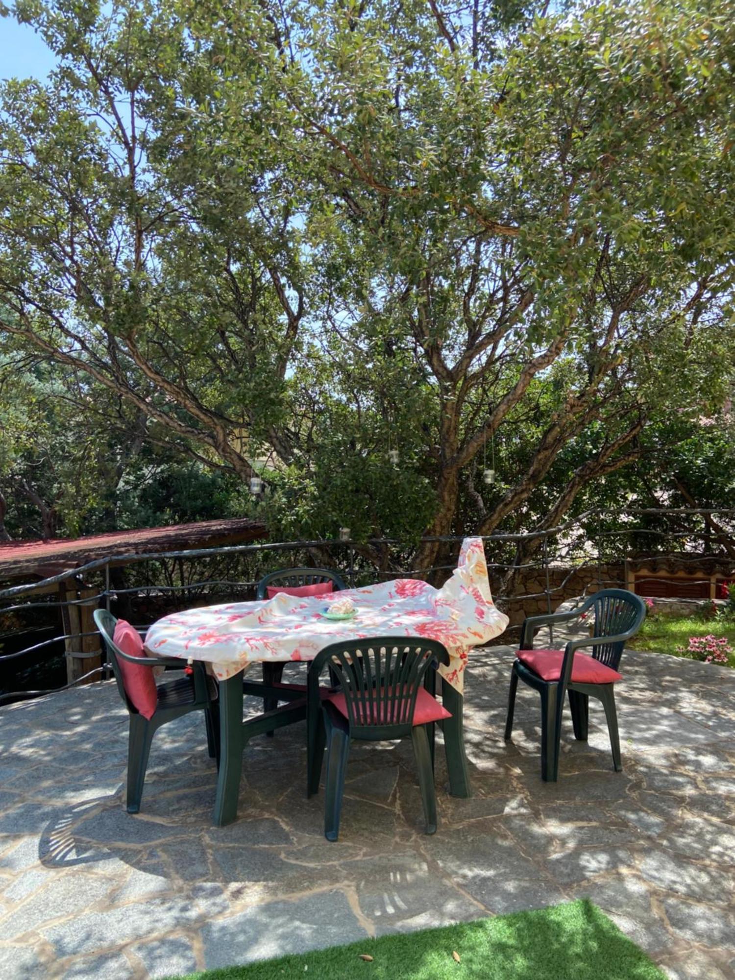 Case Vacanze Villa Rosita Сан-Теодоро Екстер'єр фото